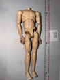 1/6 Scale Nude Male Action Figure Body - Sideshow