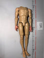 1/6 Scale Nude Male Action Figure Body