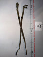 1/6 Scale Vietnam STABO Rig - Ultimate Soldier