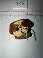 1/6 Scale WWII German Ushanka Winter Hat