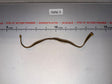 1/6 Scale Modern Era SAW Ammunition Belt Link Chain - GI Joe
