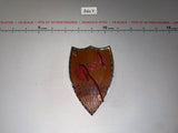 1/6 Scale Medieval Fantasy Dragon Shield