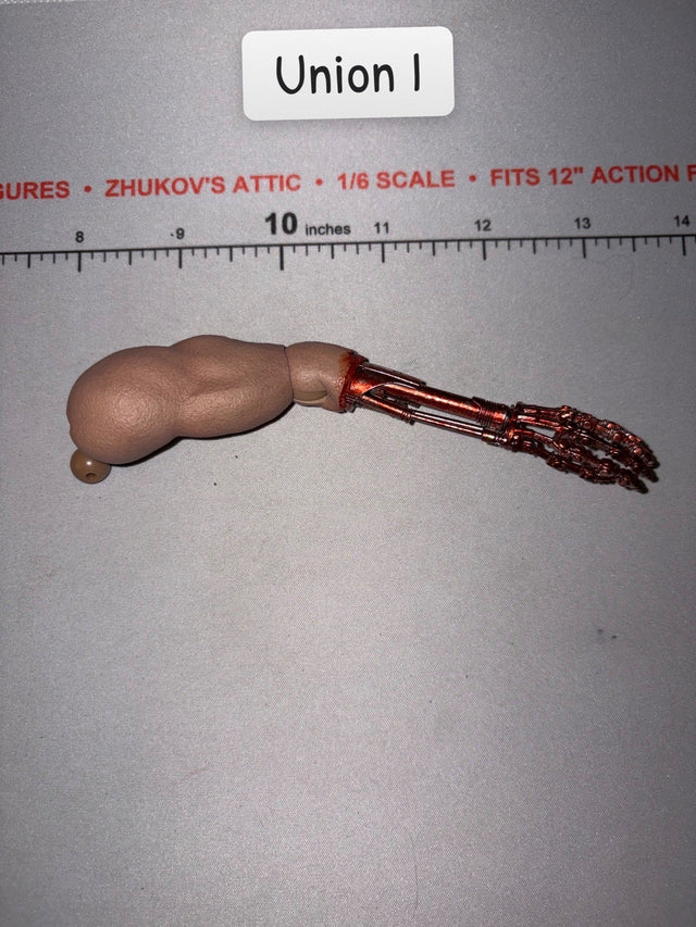 1/6 Scale Terminator Battle Damaged Arm
