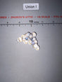 1/6 Scale Molecular Model Science Display - Diorama Effect