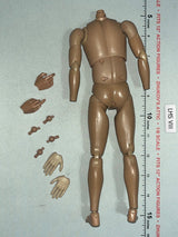 1/6 Scale Nude Male Action Figure Body with Interchangeable Hands - DID