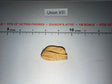 1/6 Scale WWII German Luftwaffe Tropical Overseas Cap