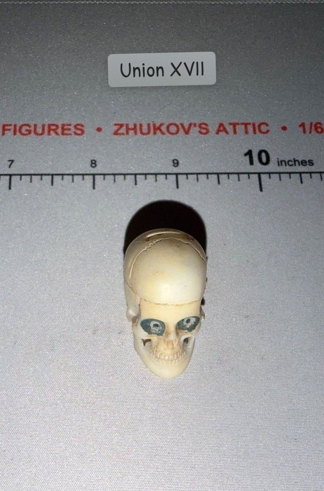 1/6 Scale Skull Diorama Item