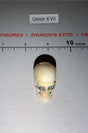 1/6 Scale Skull Diorama Item