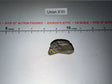 1/6 Scale WWII German Grey Field Cap Hat
