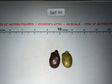 1/6 Scale Modern WWII Russian Canteen Lot - Ultimate Soldier