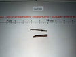 1/6 Scale Medieval Fantasy Knife with Scabbard
