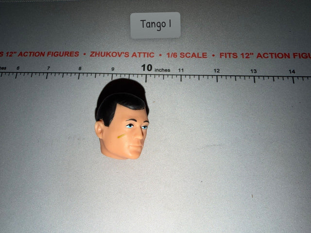 1/6 Scale Head Sculpt - Elite Brigade