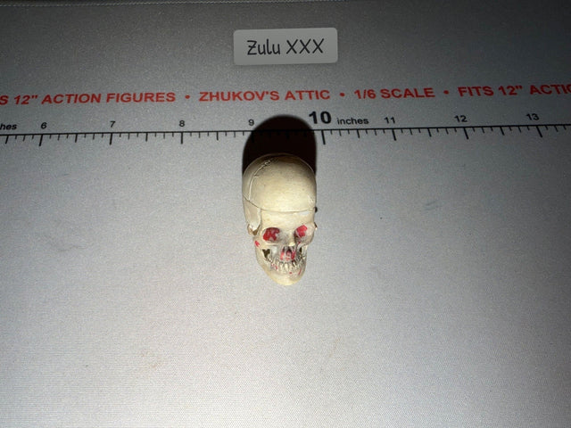 1/6 Scale Skull Diorama Item