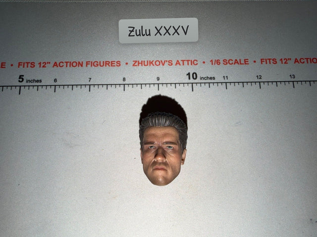 1/6 Scale Modern Arnold Schwarzenegger Male Head Sculpt
