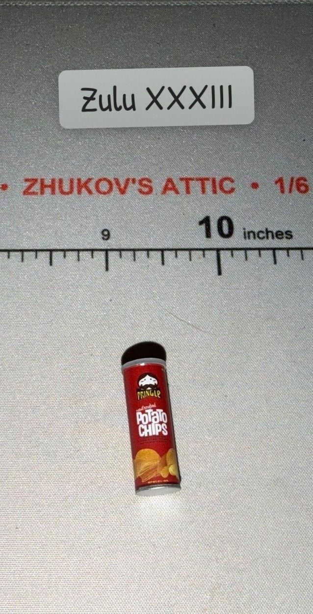 1/6 Scale Modern Era Pringles Potato Chips Canister