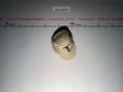1/6 Scale WWII German Afrika Korps Field Cap