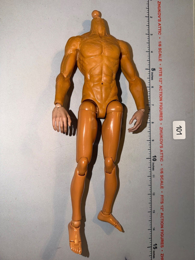 1/6 Scale Nude Male Action Muscular Figure Body
