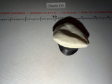 1/6 Scale WWII German Navy Sailor Cap
