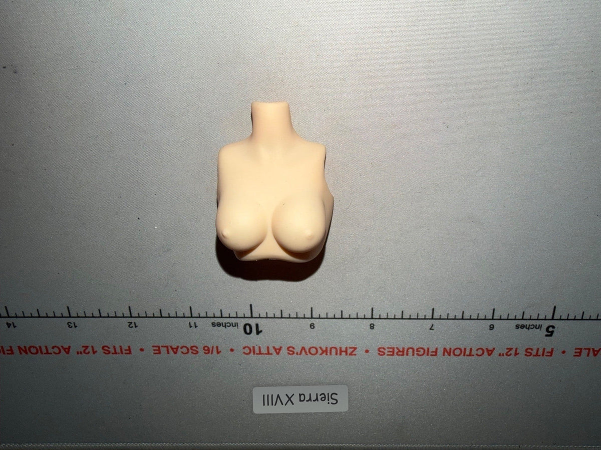 1/6 Scale Female Figure Body Torso