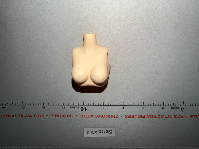 1/6 Scale Female Figure Body Torso