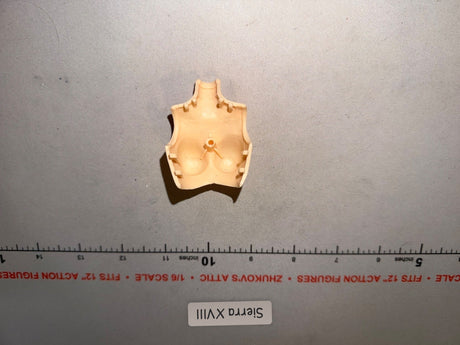 1/6 Scale Female Figure Body Torso
