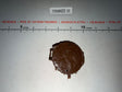 1/6 Scale Western Era Native American Shield - Johnny West