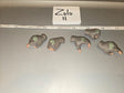 1/6 Scale Modern Era Gloved Hands Set