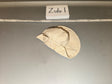 1/6 Scale Modern Era Tan Boonie Slouch Hat