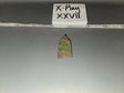 1/6 Scale Modern Era Strobe Pouch