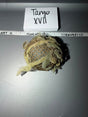 1/6 Scale WWII British Paratrooper Helmet