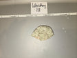 1/6 Scale Modern Era US Marine MARPAT Digital Helmet Cover