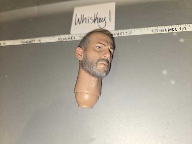1/6 Scale Modern Bruce Willis Bearded Male Head Sculpt with Short Gray Hair