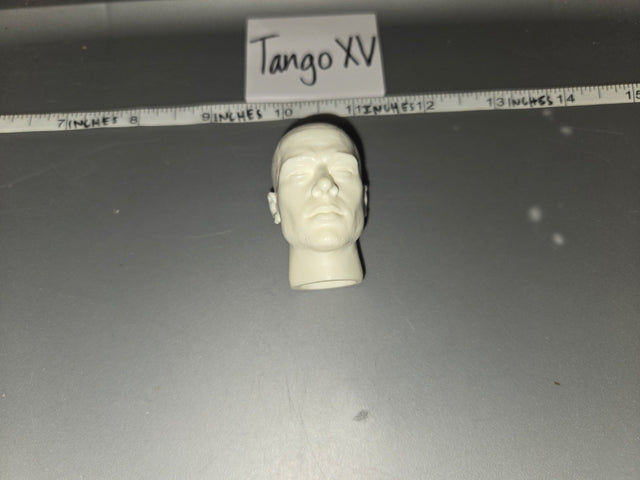1/6 Scale Unpainted Head Sculpt