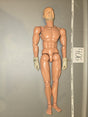 1/6 Scale Nude Male Action Figure Basic Body - BBI