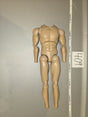 1/6 Scale Nude Male Action Figure Body