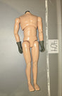 1/6 Scale Nude Male Action Figure Body with Gloved Hands - Dragon