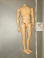 1/6 Scale Nude Male Action Figure Body - Unknown - Dragon
