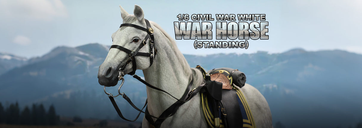 *Preorder* 1/6 Scale Civil War Era War Horse - DID E60086