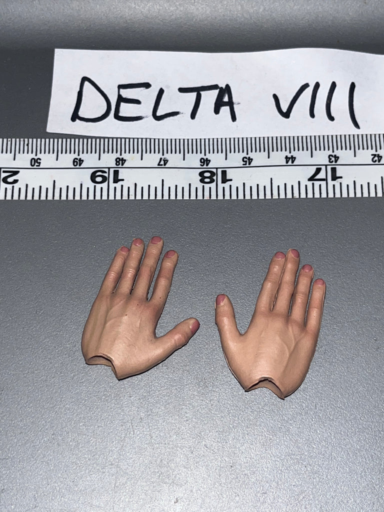 1/6 Scale WWII German DID Hand Set 106219