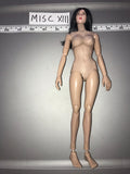 1/6 Scale Vietnam Viet Cong Female Figure 111322