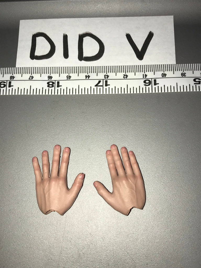 1/6 Scale WWII US DID Hand Set 111009