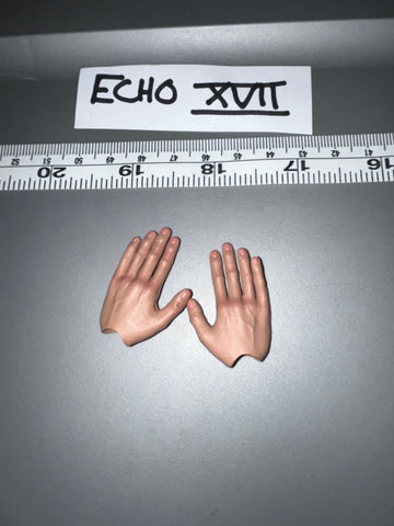 1/6 Scale WWII German DID Hand Set 106545